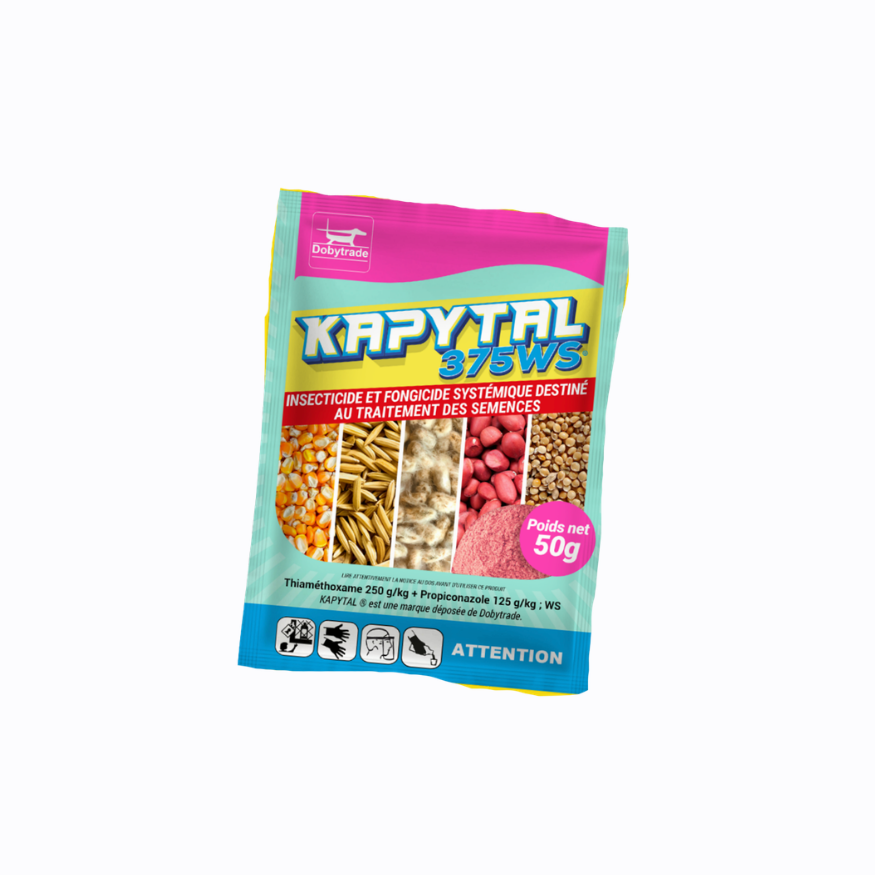 KAPYTAL