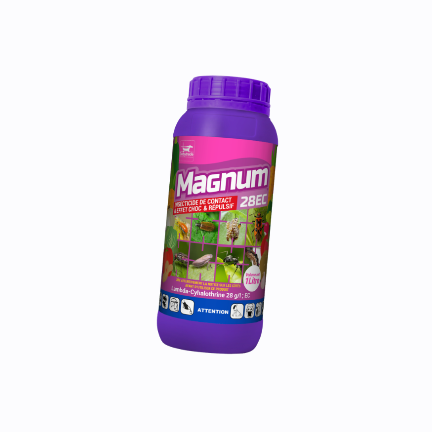MAGNUM