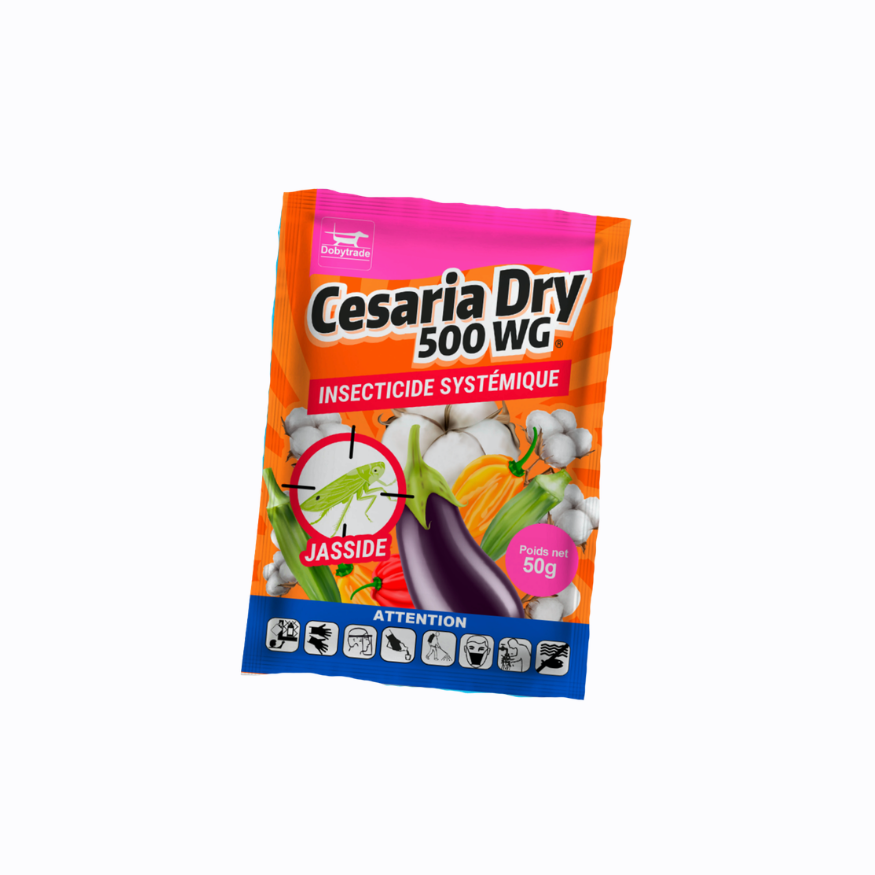 CESARIA DRY