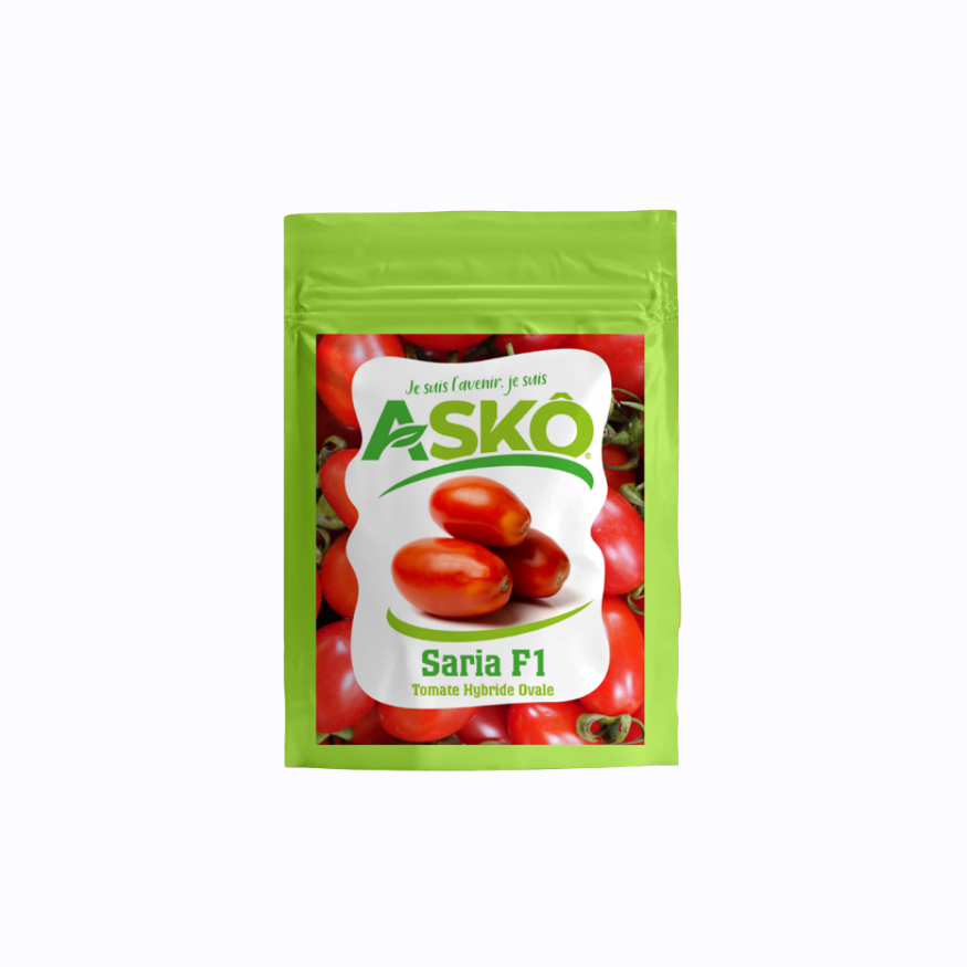 SARIA F1