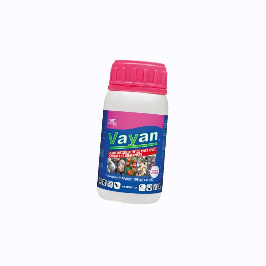 VAYAN
